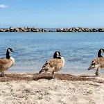 Lägenhet Beachside *
