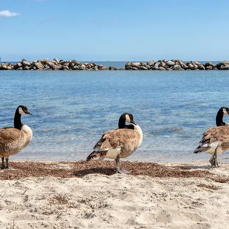 Апартаменты Beachside *